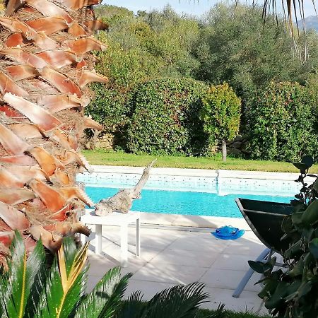 Studio 5Min Plage Agosta Albitreccia Exterior photo